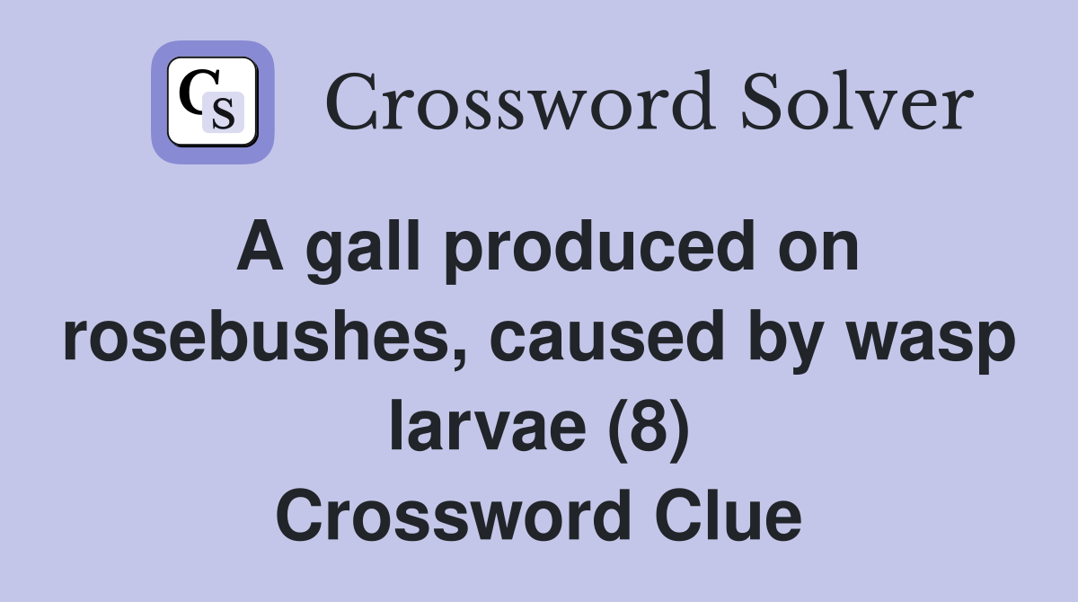 A gall produced on rosebushes, caused by wasp larvae (8) Crossword